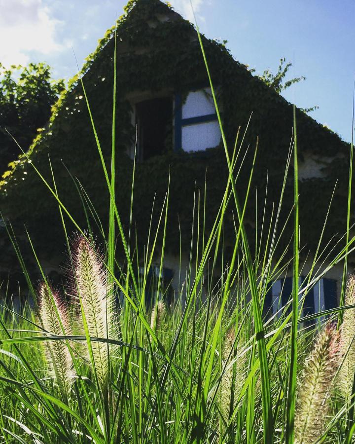 Authentic Wellnesshoeve Hansbeke Exterior foto